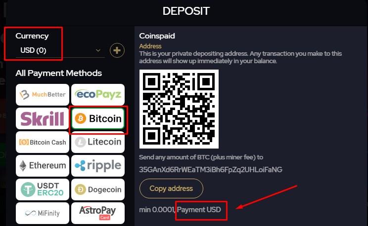 Katsubet Casino Review - 2026