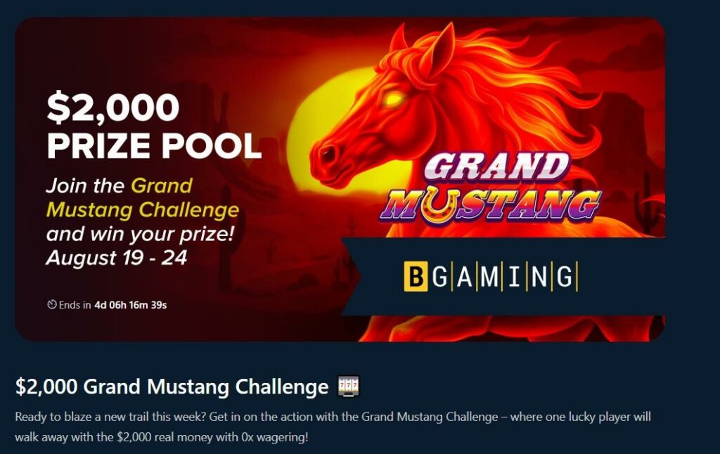 Wild.io Crypto Casino Review - 2026