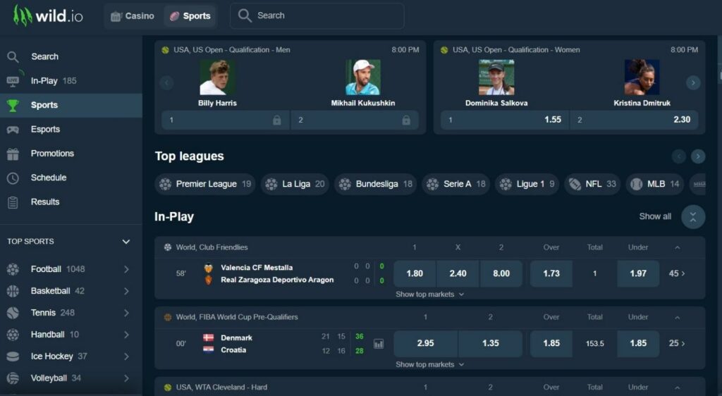 Wild.io Crypto Casino Review - 2026