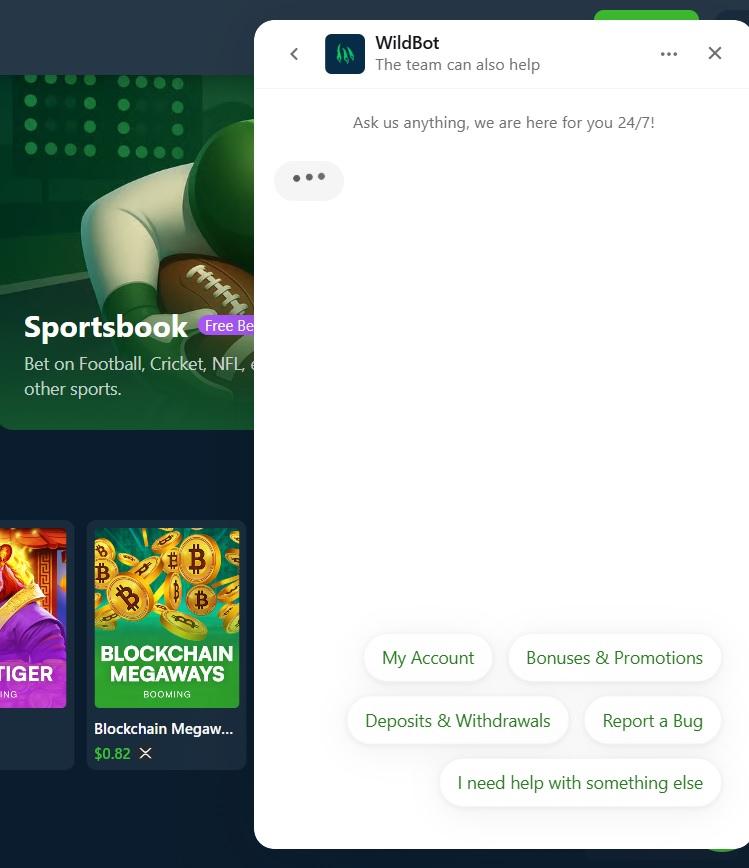 Wild.io Crypto Casino Review - 2026