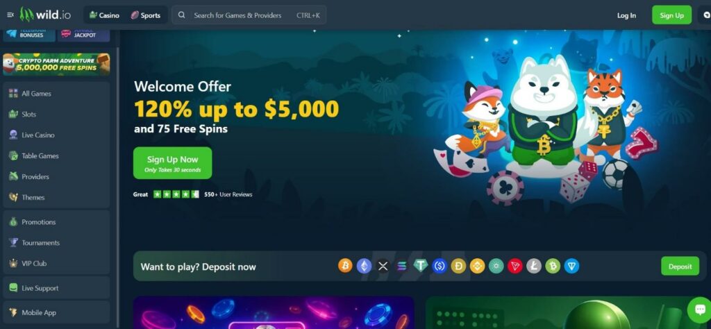 Wild.io Crypto Casino Review - 2026