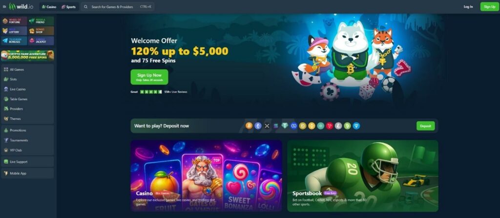 Wild.io Crypto Casino Review - 2026