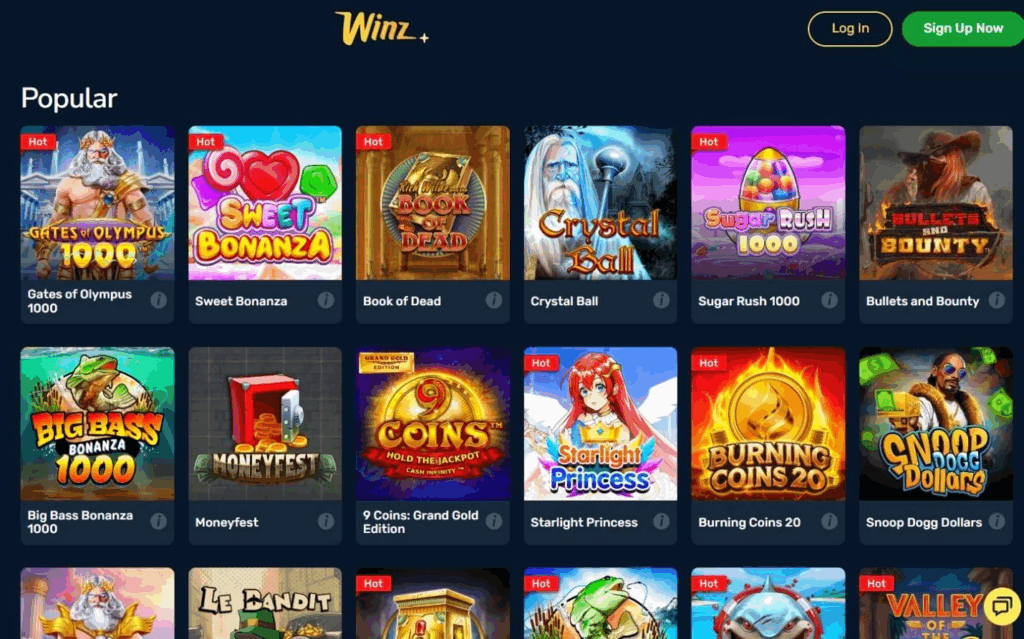 Winz.io Casino Review - 2026