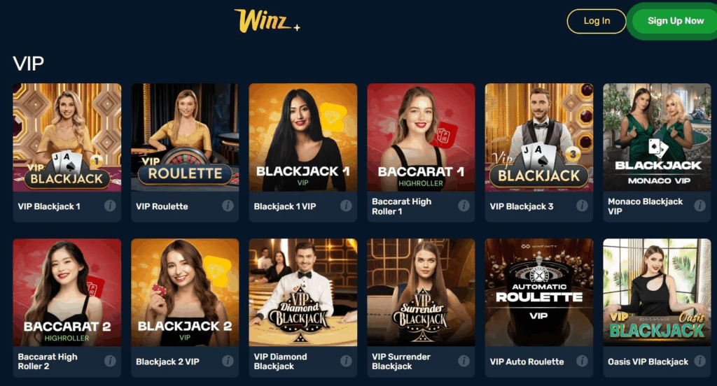 Winz.io Casino Review - 2026