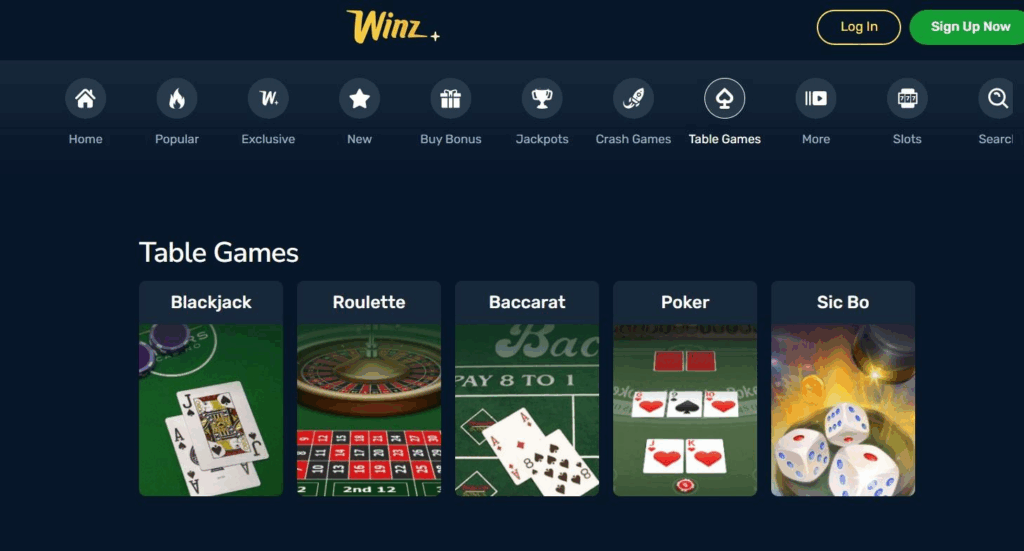 Winz.io Casino Review - 2026