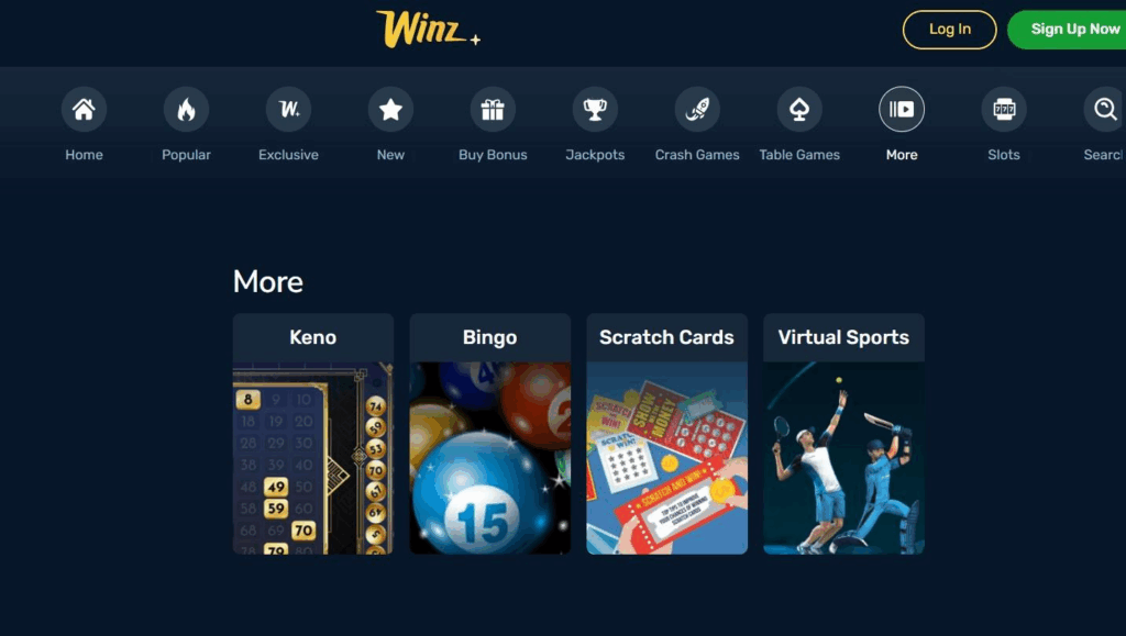 Winz.io Casino Review - 2026