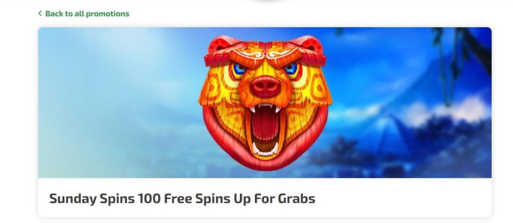 Boaboa Casino Review - 2026