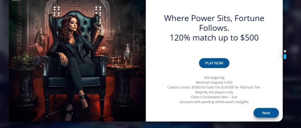 Platinum Reels Casino Review - 2026