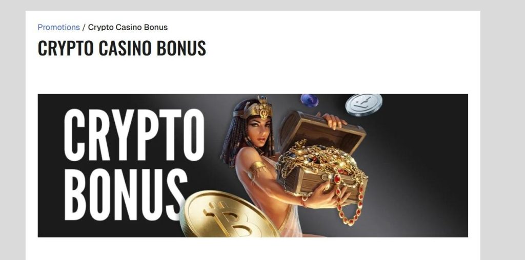 Ozoon Casino Review - 2026