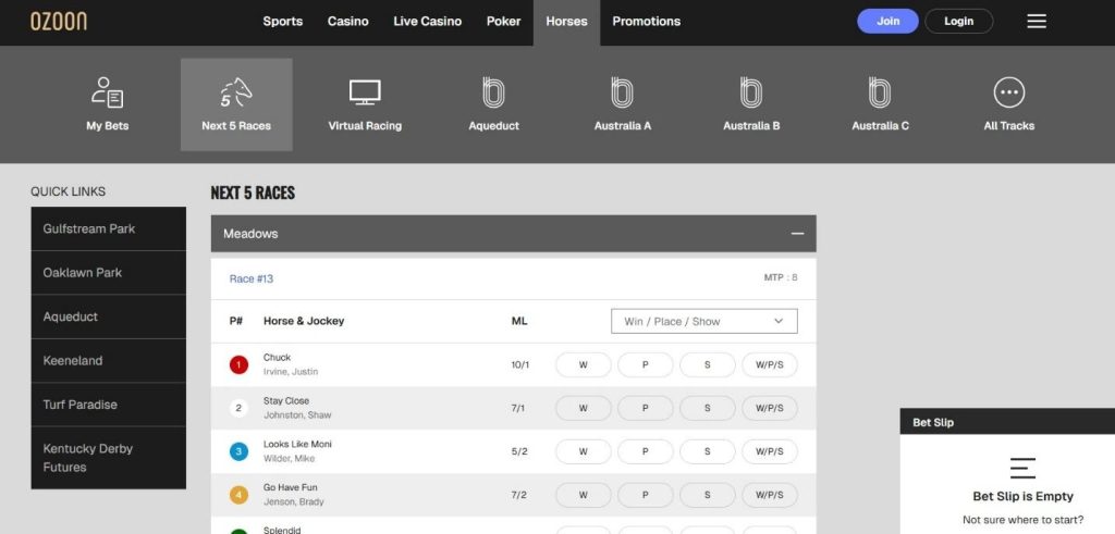 Ozoon Casino Review - 2026