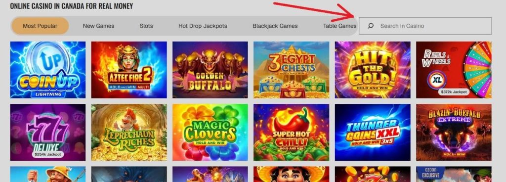 Ozoon Casino Review - 2026