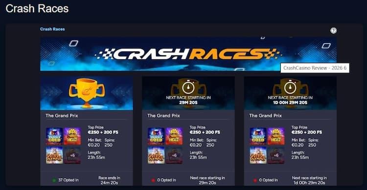 Casinos like iWild But Whose Payouts and Customer Support Excel - 2026