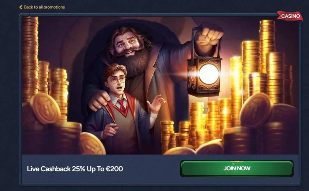 Betwarts Casino Review - 2026