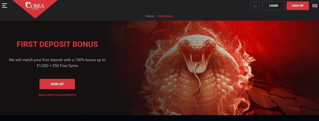 Cobra Casino Review - 2026