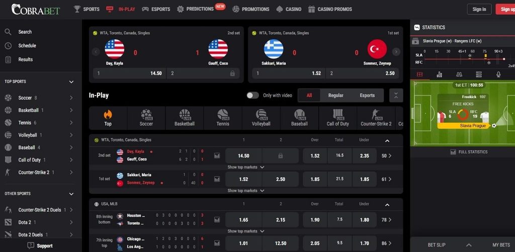 Cobra Casino Review - 2026