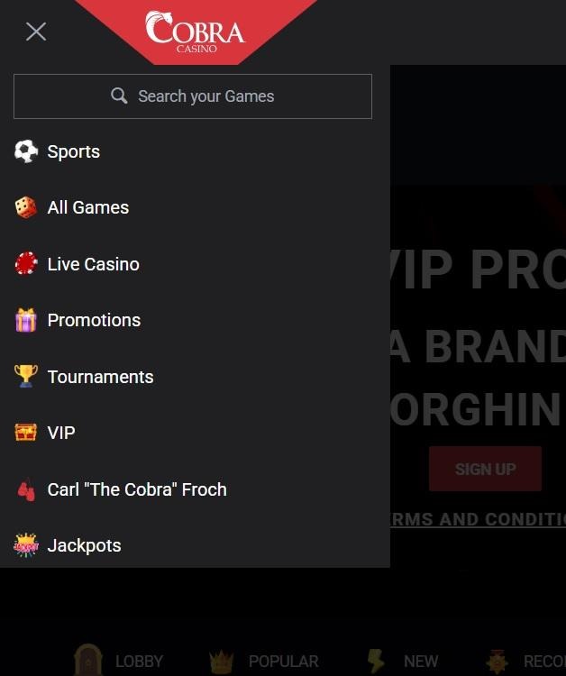 Cobra Casino Review - 2026