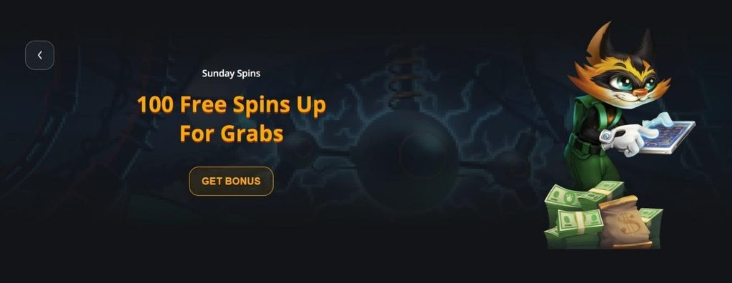Excitewin Casino Review - 2026
