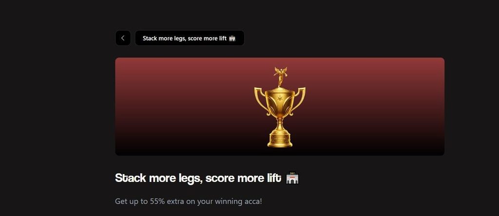 Betninja Casino Review - 2026